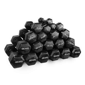 dumbbell de ferro